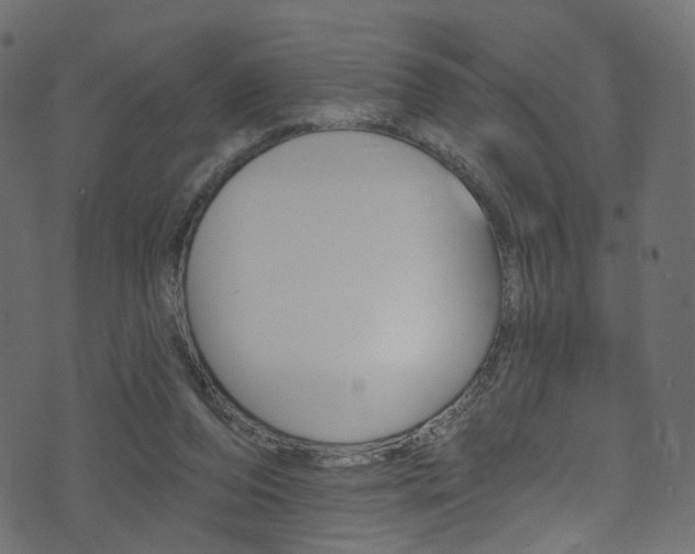 X0000074340208200608251054