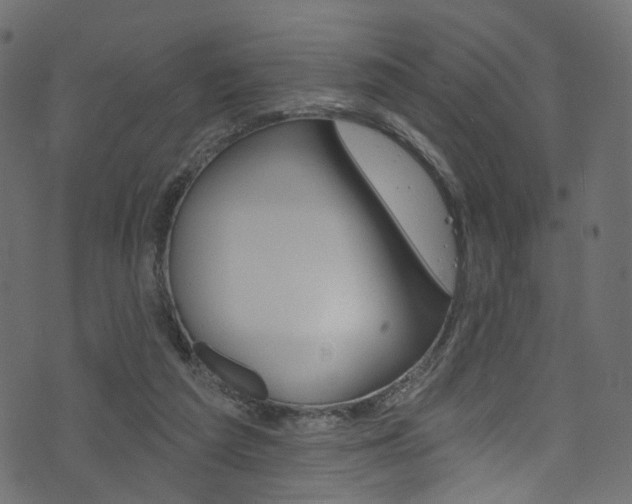 X0000074340209200608251054