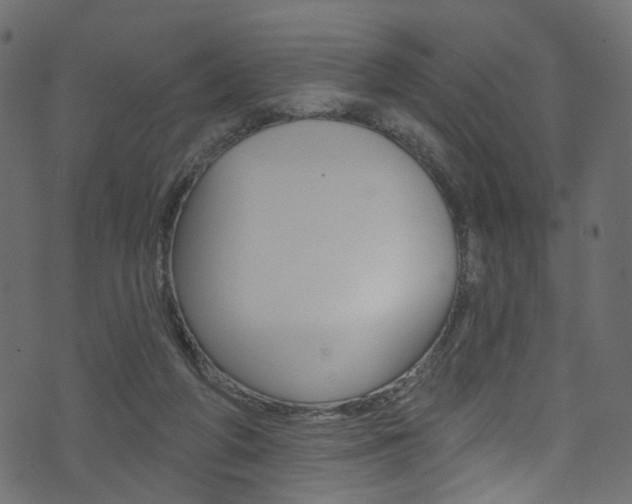 X0000074340210200608251054