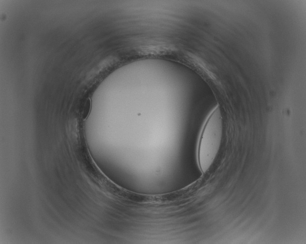 X0000074340211200608251054