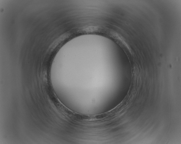 X0000074340212200608251054