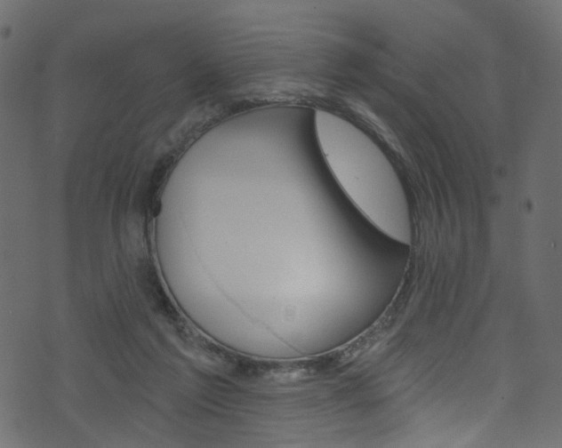 X0000074340213200608251053