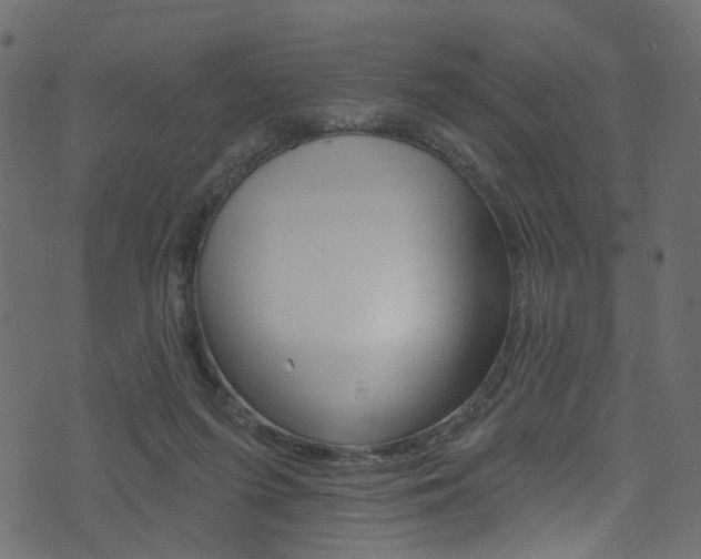 X0000074340215200608251053