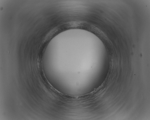 X0000074340216200608251053