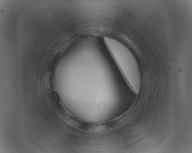 X0000074340217200608251053