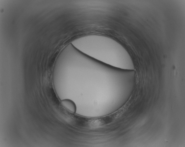 X0000074340218200608251053