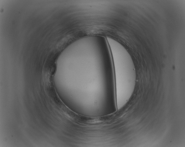 X0000074340219200608251053