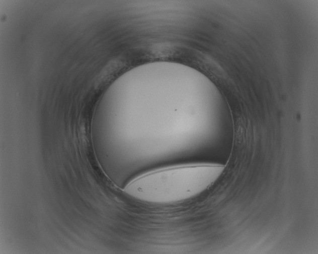 X0000074340220200608251053