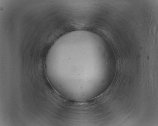 X0000074340221200608251053