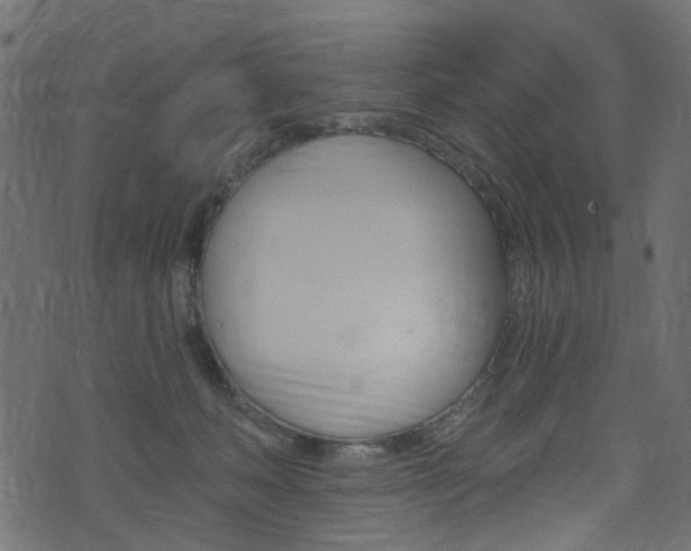 X0000074340222200608251053