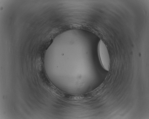 X0000074340223200608251053