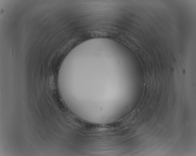 X0000074340224200608251053