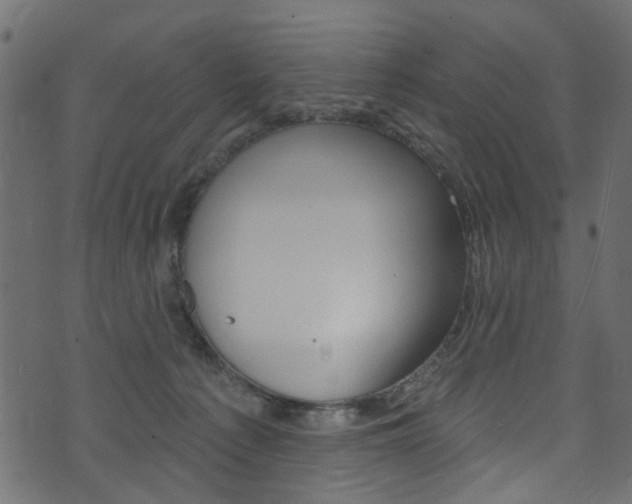 X0000074340225200608251053