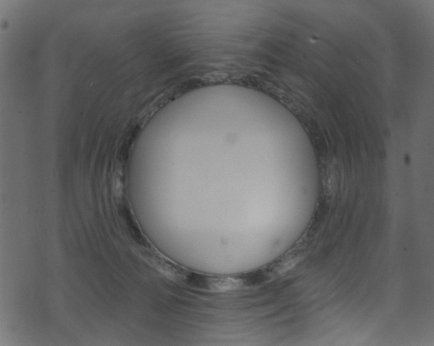 X0000074340226200608251053