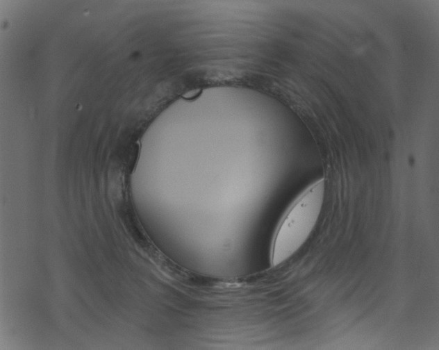 X0000074340227200608251053