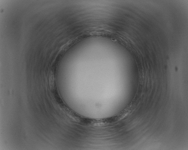 X0000074340228200608251053