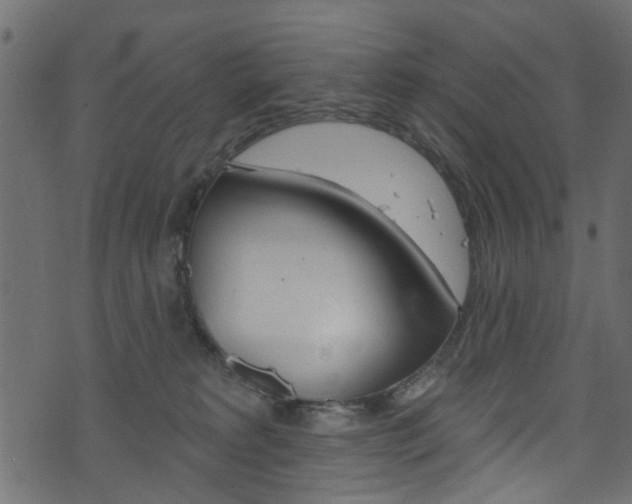 X0000074340229200608251053