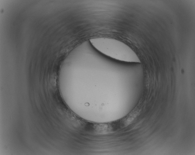 X0000074340230200608251053