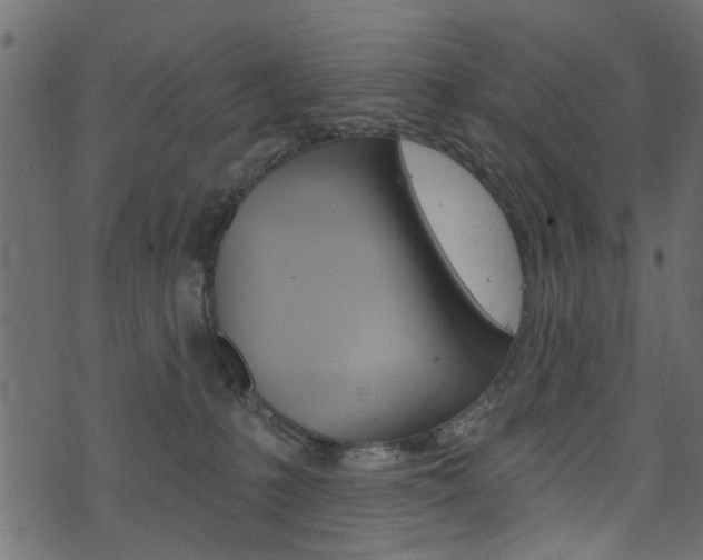 X0000074340231200608251053