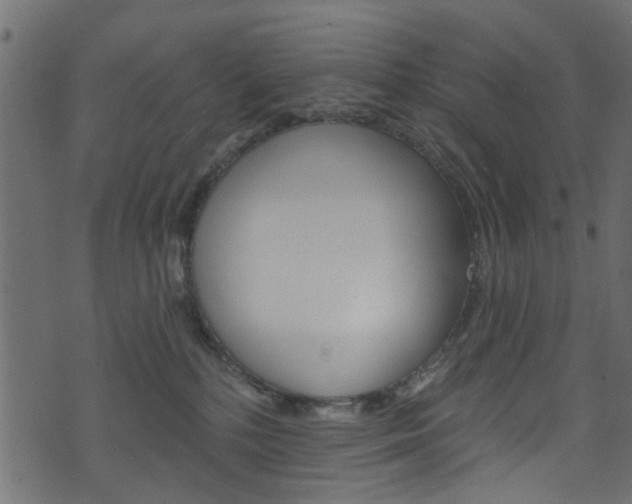 X0000074340232200608251053