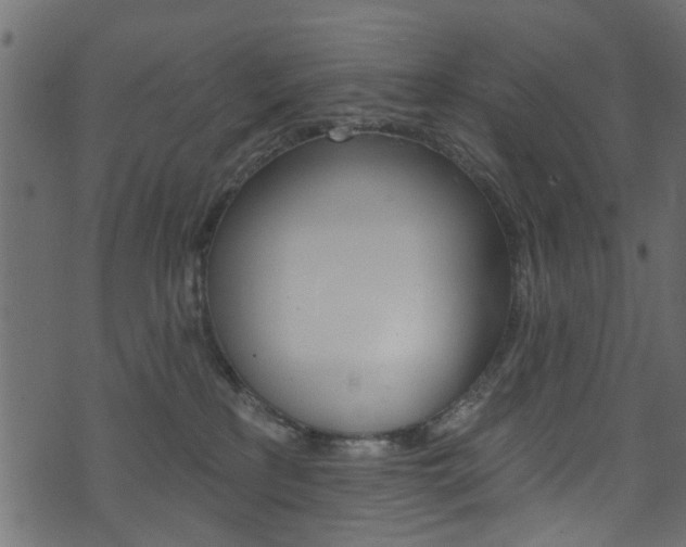 X0000074340233200608251053