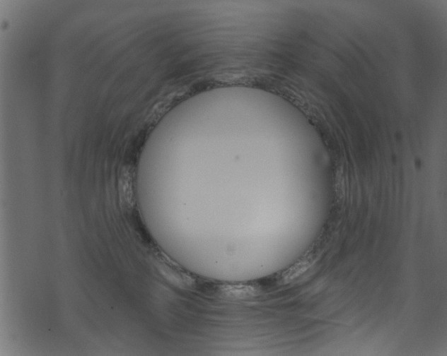 X0000074340234200608251053