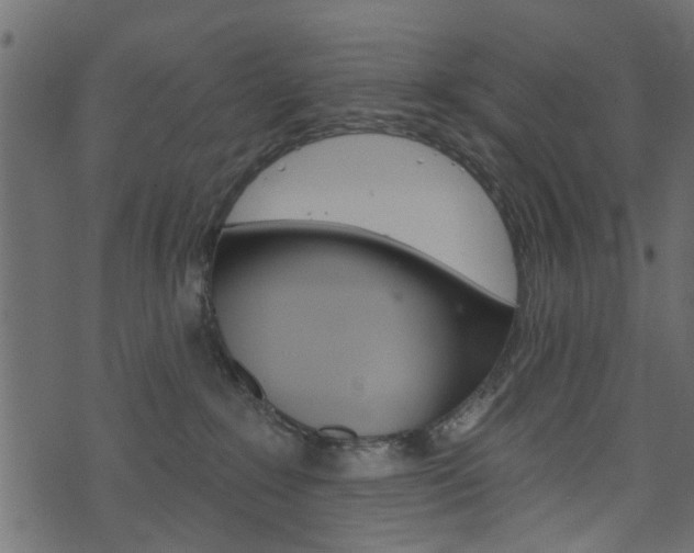 X0000074340235200608251053