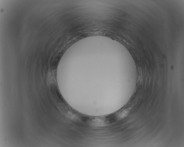 X0000074340236200608251053