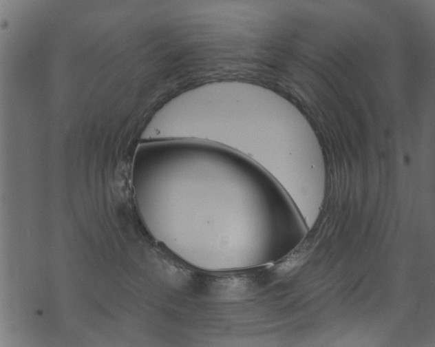 X0000074340237200608251053