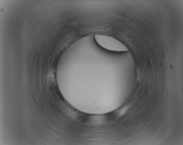 X0000074340238200608251053