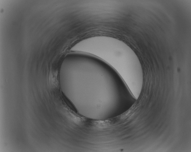 X0000074340239200608251053