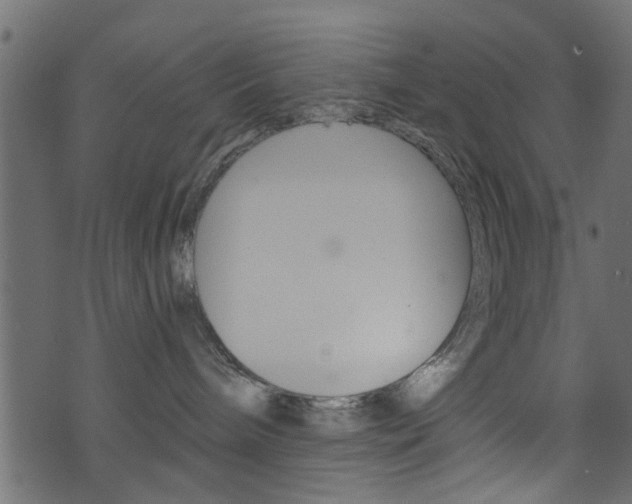 X0000074340240200608251053