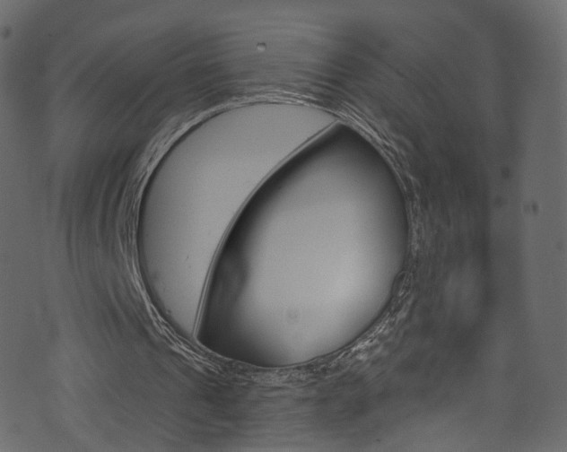 X0000074340241200608251052