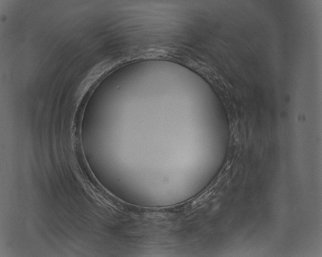 X0000074340242200608251052