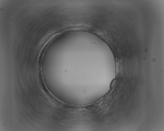 X0000074340243200608251052