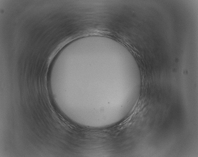 X0000074340244200608251052