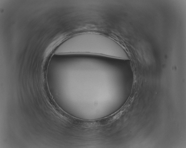 X0000074340245200608251052