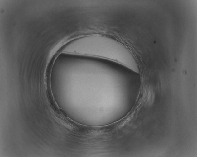 X0000074340246200608251052