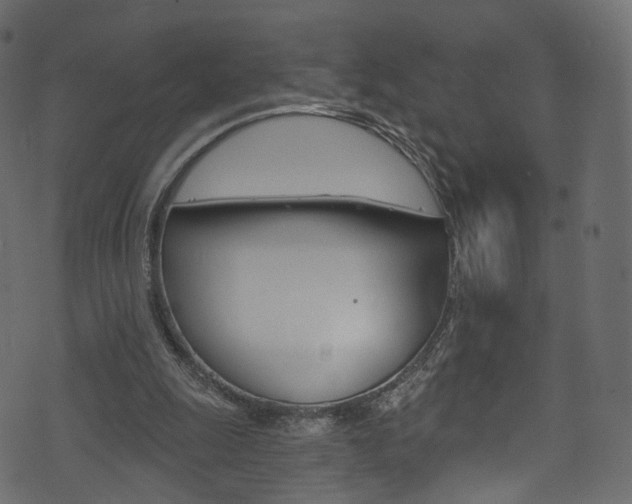 X0000074340247200608251052