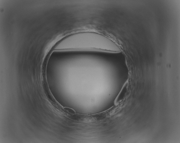 X0000074340248200608251052