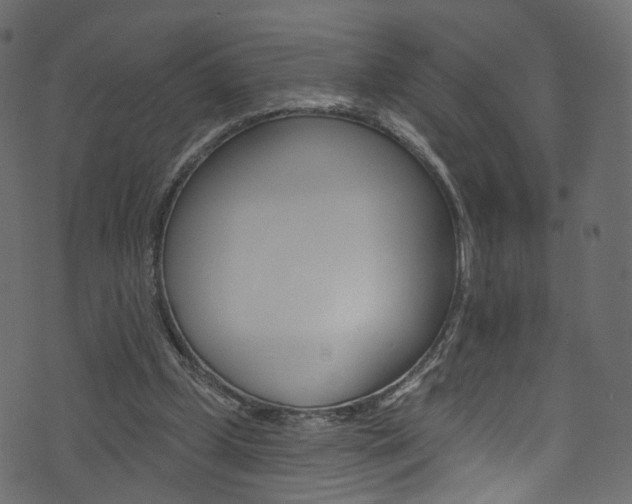 X0000074340249200608251052