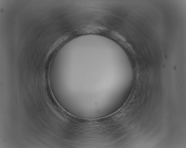 X0000074340250200608251052