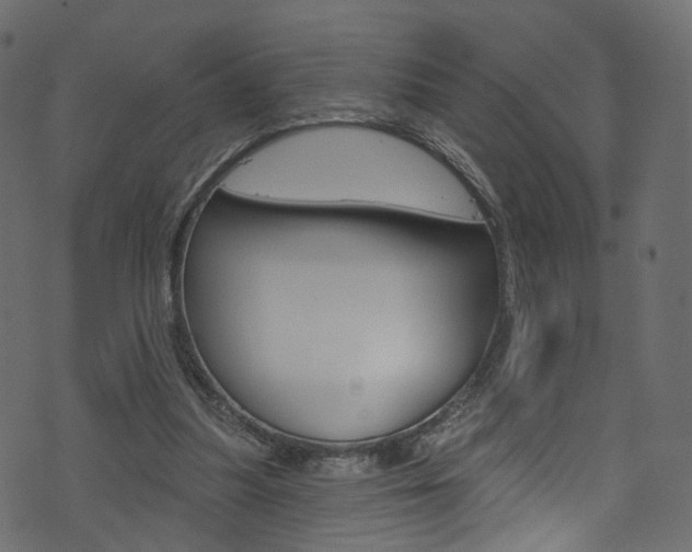 X0000074340251200608251052