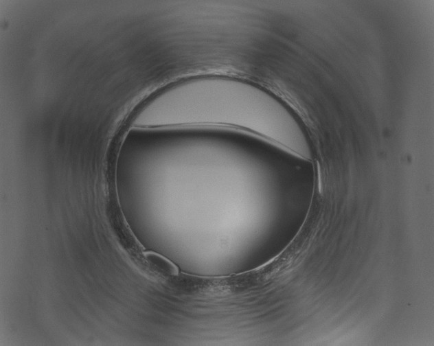 X0000074340252200608251052