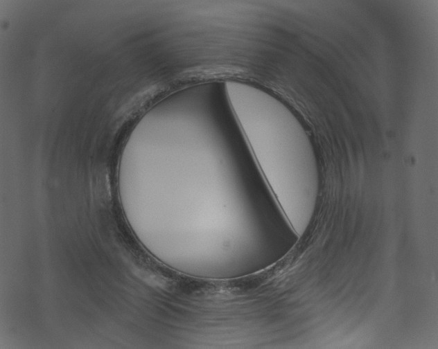 X0000074340254200608251052