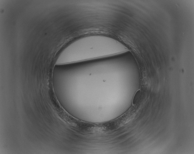 X0000074340255200608251052