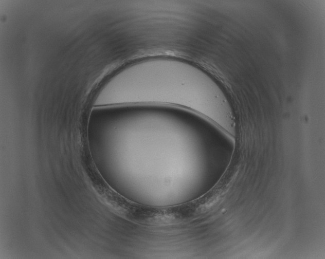 X0000074340256200608251053