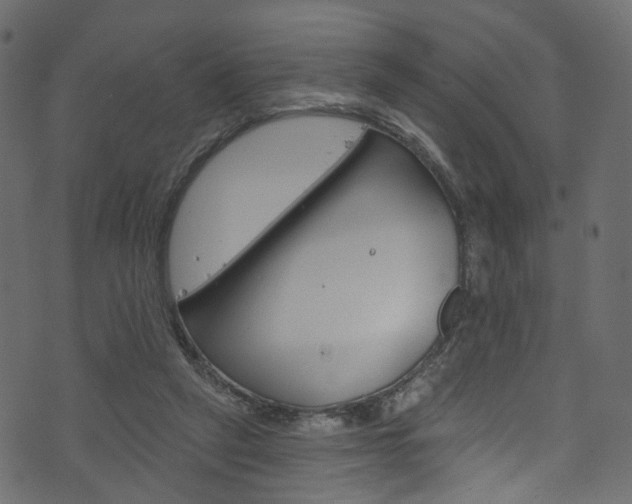 X0000074340257200608251053