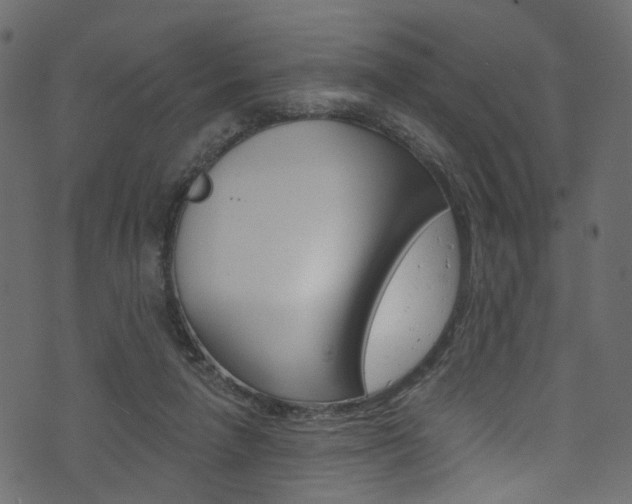 X0000074340258200608251053