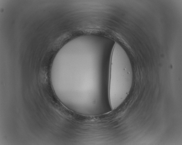 X0000074340259200608251053